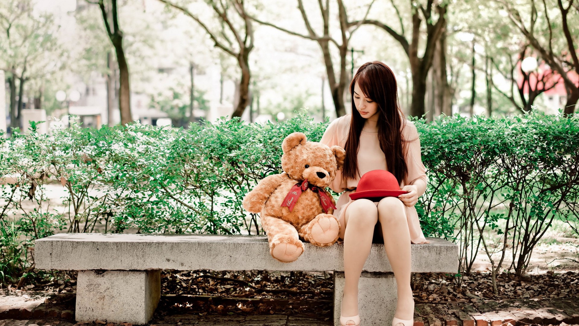 公园小憩，女孩与熊的奇妙邂逅，美丽心情壁纸免费下载