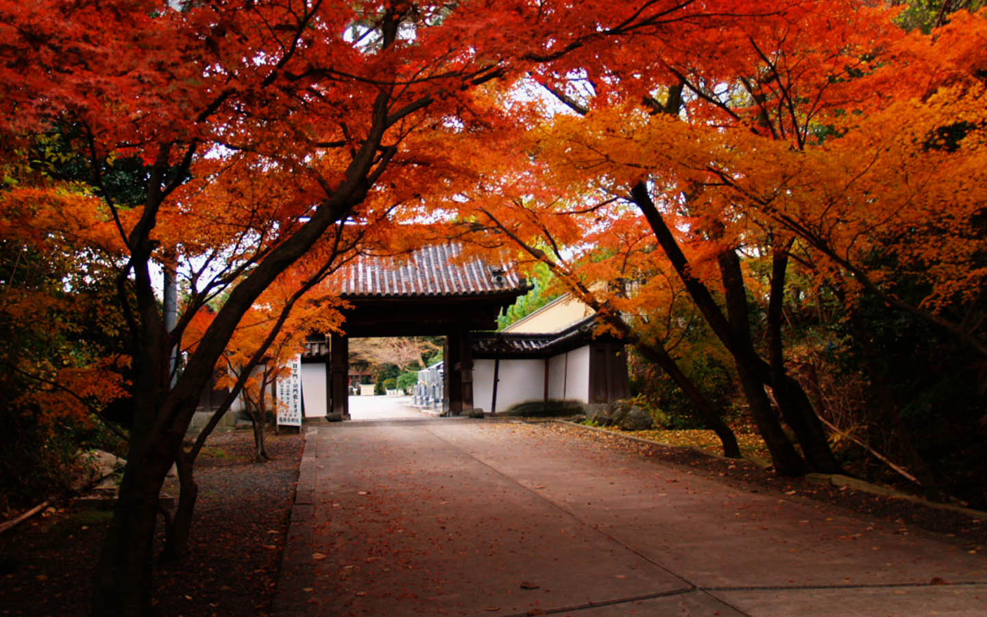 日本秋天风景桌面壁纸