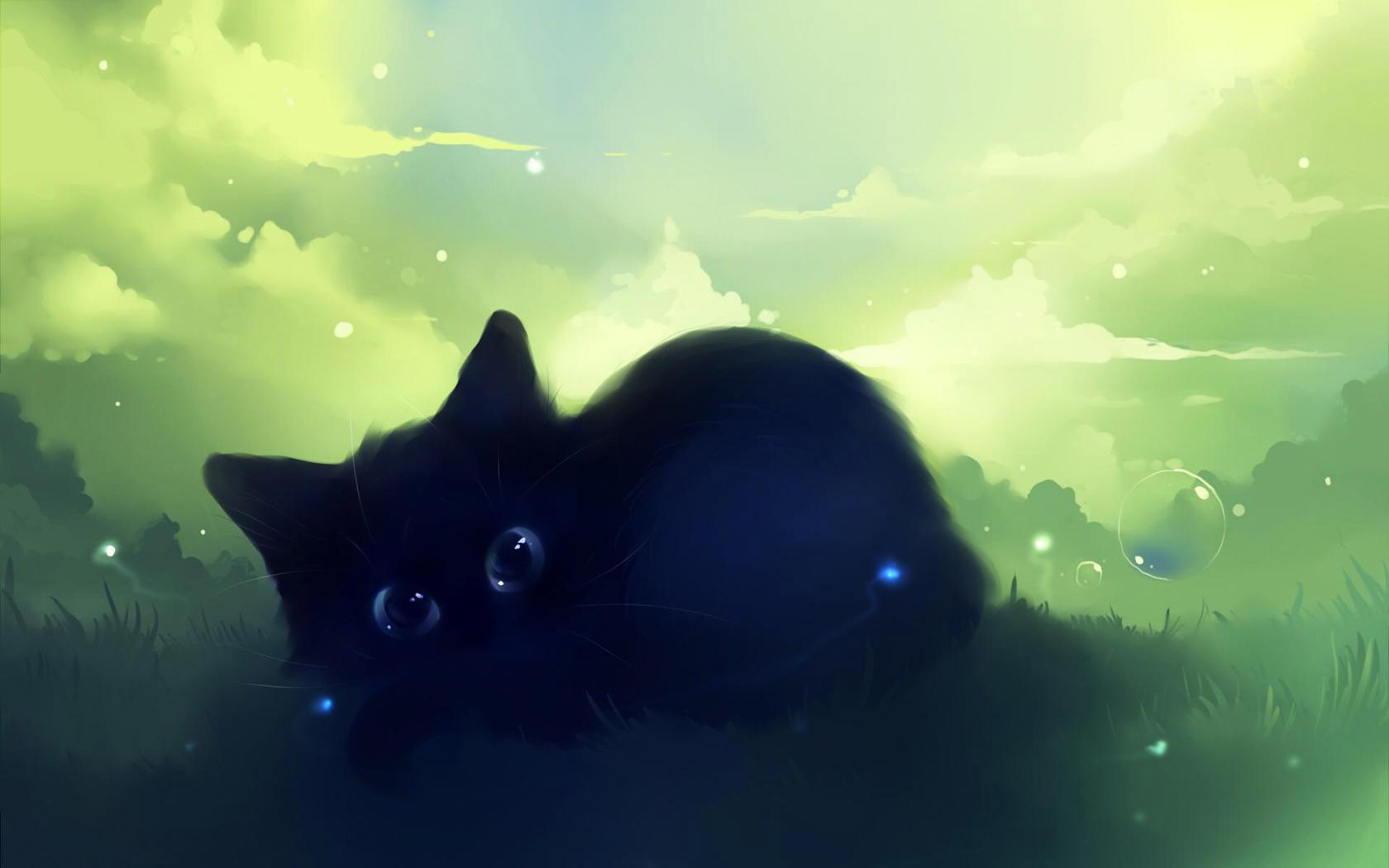 猫咪唯美电脑桌面壁纸，免费高清下载！