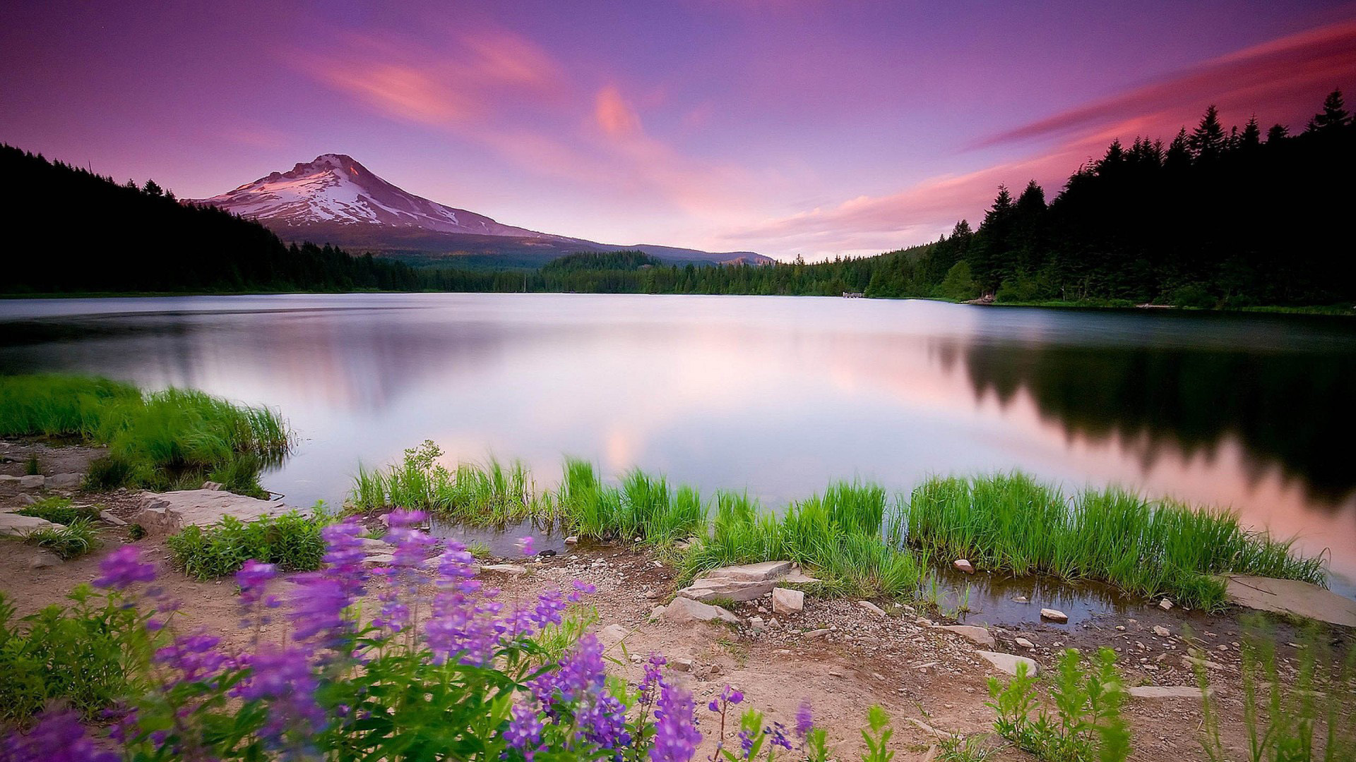 山地游湖鲜花美景，免费高清桌面壁纸下载