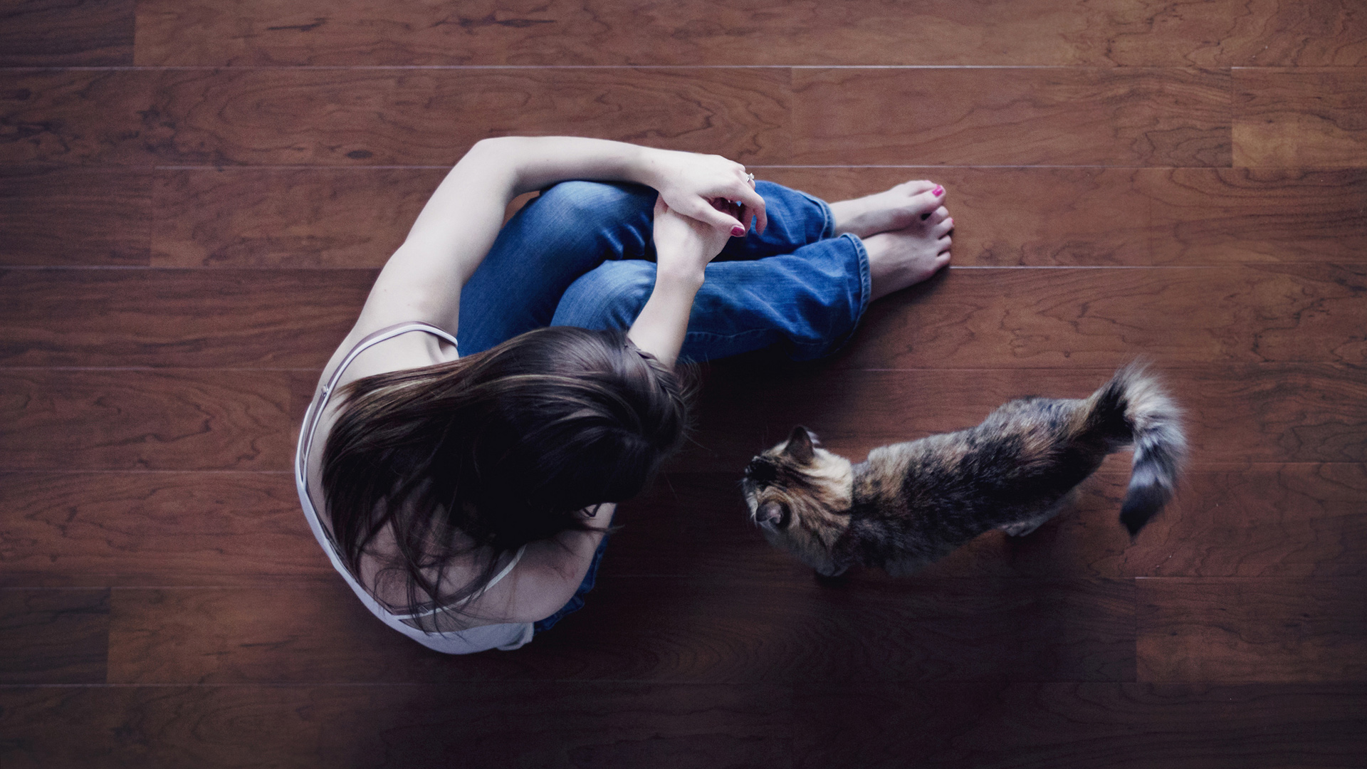 女孩心情映照，唯美黑发小猫陪伴，免费下载好看的桌面壁纸人物