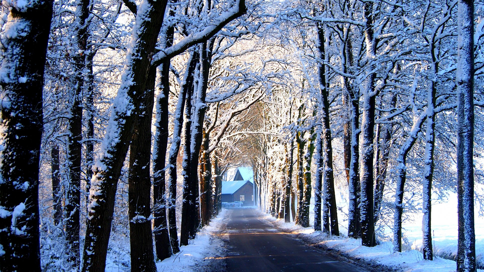 冬日风情，道路雪裹，树木银装，胡同静谧，房子温馨——免费下载精美桌面壁纸
