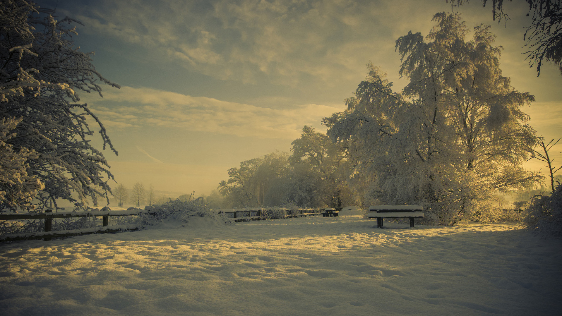 自然之美，冬季公园雪景，唯美桌面壁纸免费下载