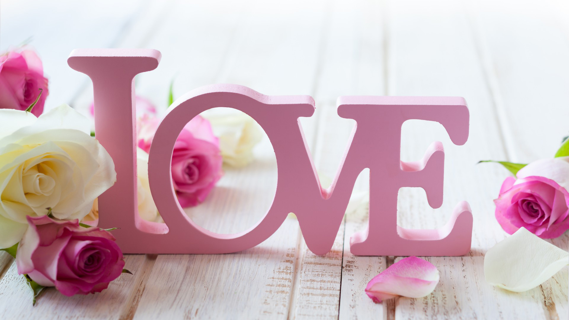 爱之绽放，粉色玫瑰花情人节桌面壁纸，LOVE主题，免费高清下载