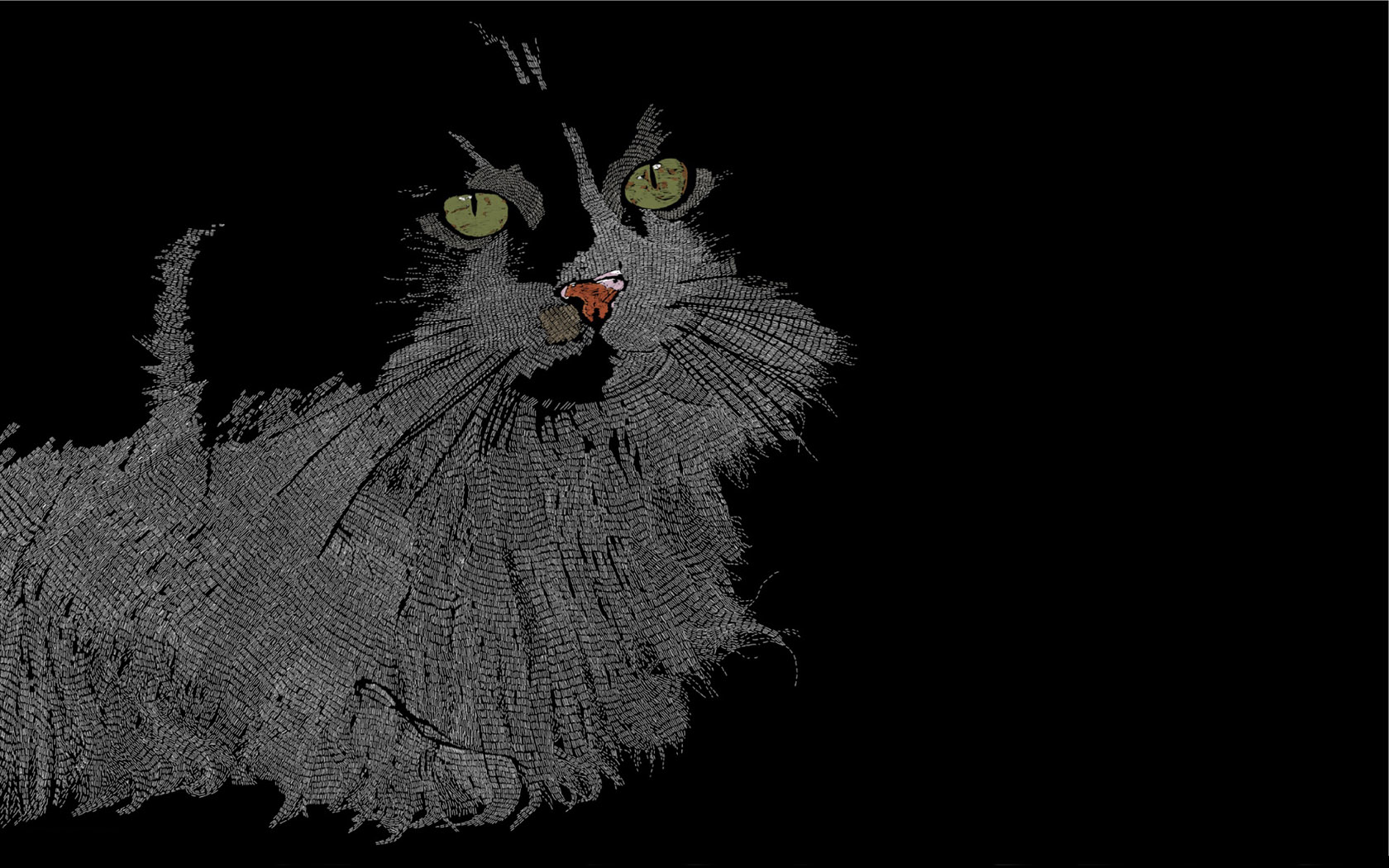 黑猫电脑桌面壁纸