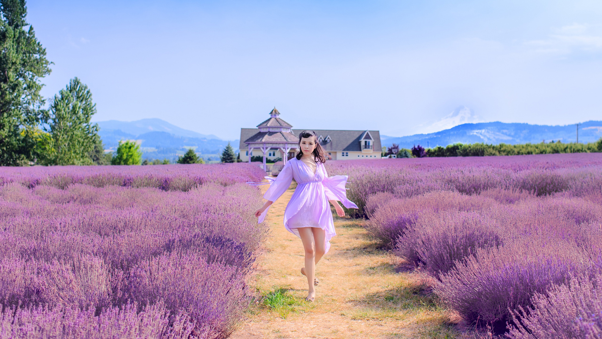 薰衣草夏日女孩，唯美清新桌面壁纸，免费下载尽享清新之美