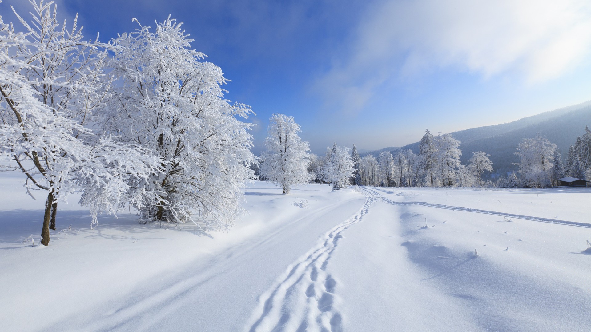 冬季雪景桌面壁纸，树林雪道，脚印蜿蜒，房子静立，公路延伸，免费下载