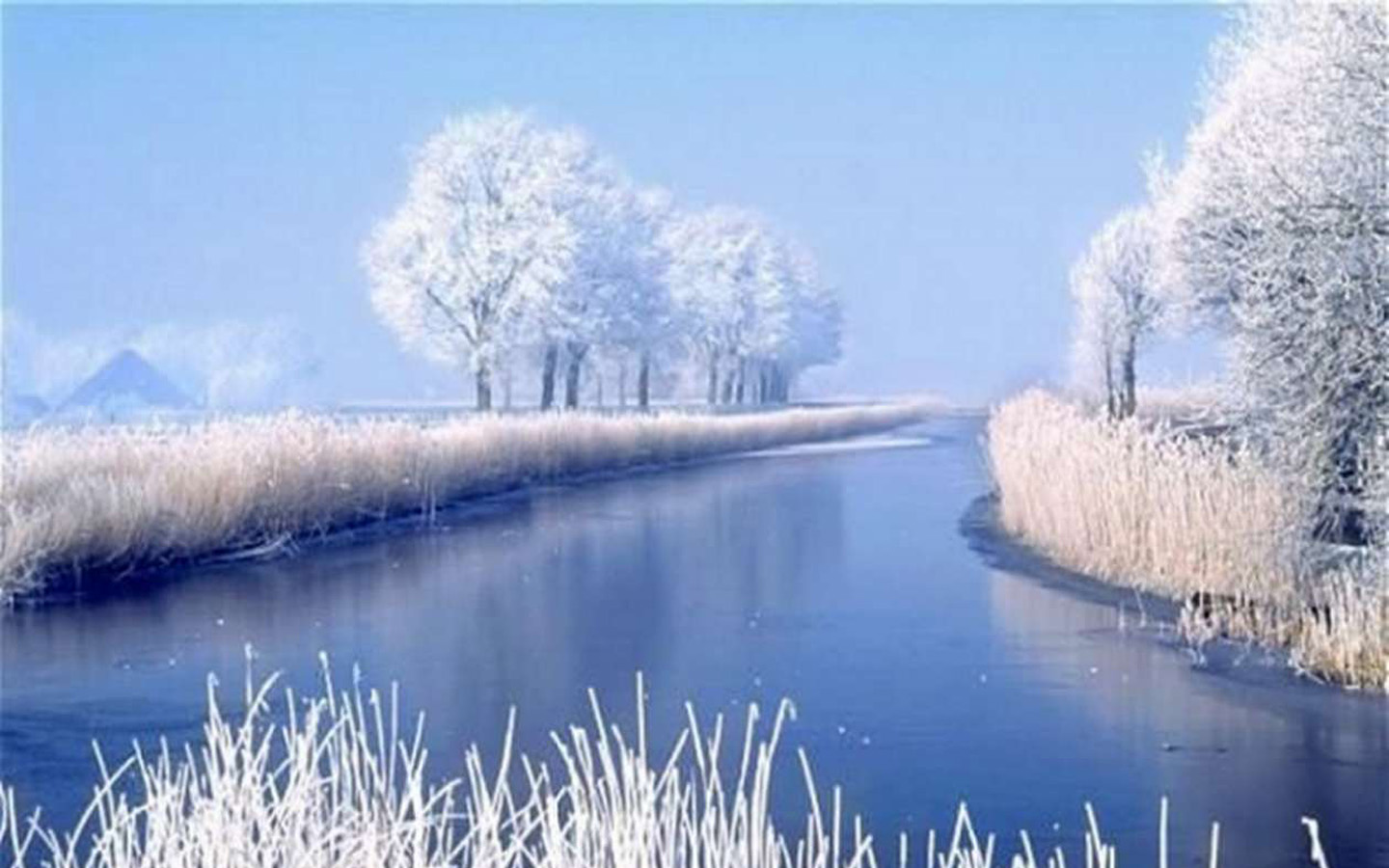 冬日雪景绝美壁纸，免费高清桌面背景，一键下载！