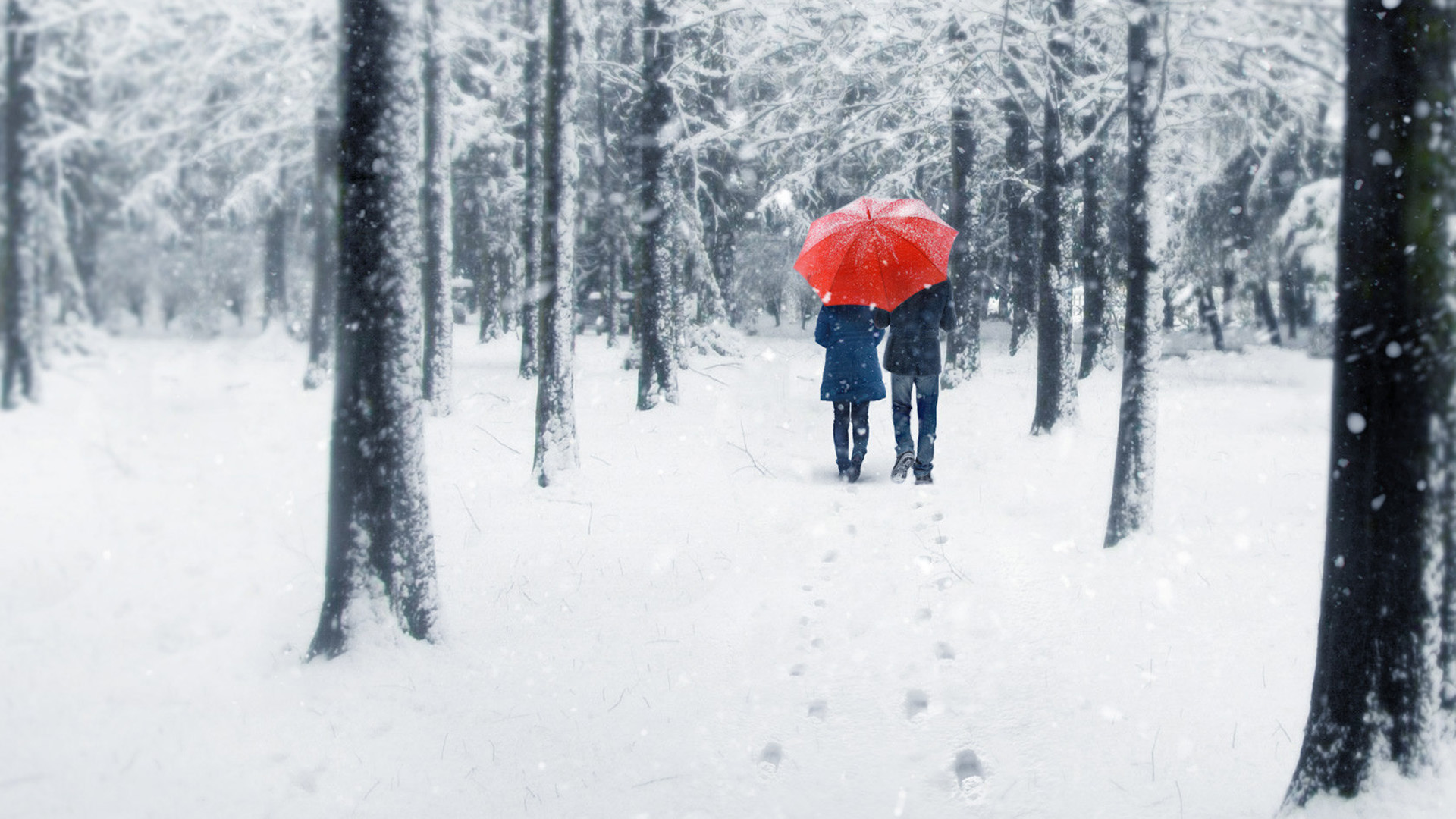 冰雪情侣壁纸，唯美免费下载，装点你的电脑桌面