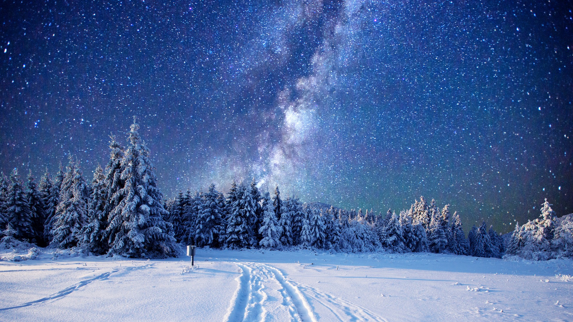 冬季森林雪景桌面壁纸，树木披霜，草地覆雪，天空湛蓝，自然风光美不胜收，免费下载！