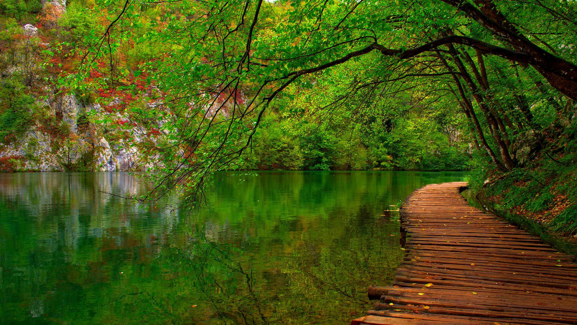 自然之美，春天森林与河水风景，免费绿色桌面壁纸下载