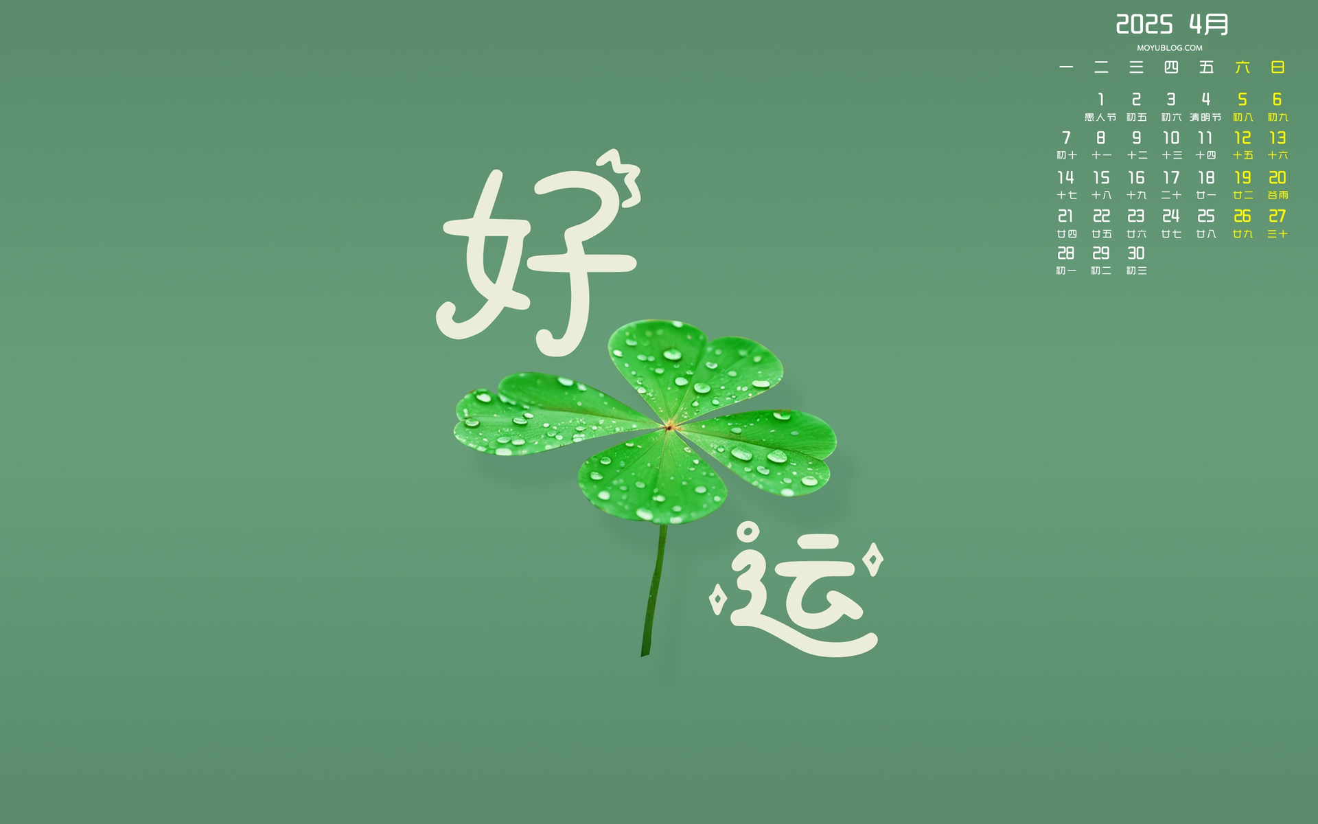 2025年4月好运四叶草日历壁纸，免费护眼电脑桌面壁纸下载