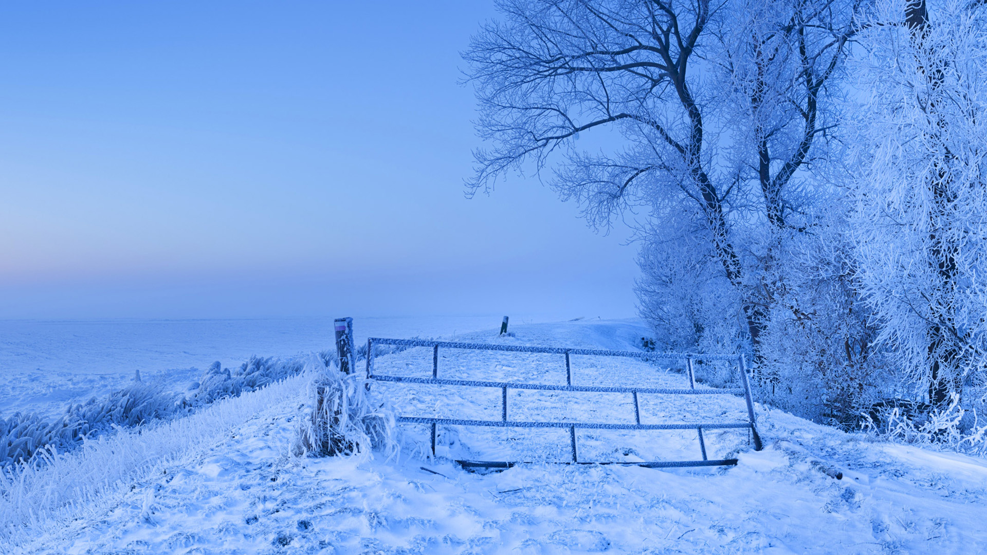 微软电脑主题 雪全景 风景桌面壁纸