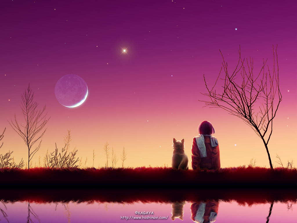 卢纳花园，梦幻星空动漫壁纸，免费电脑桌面背景下载