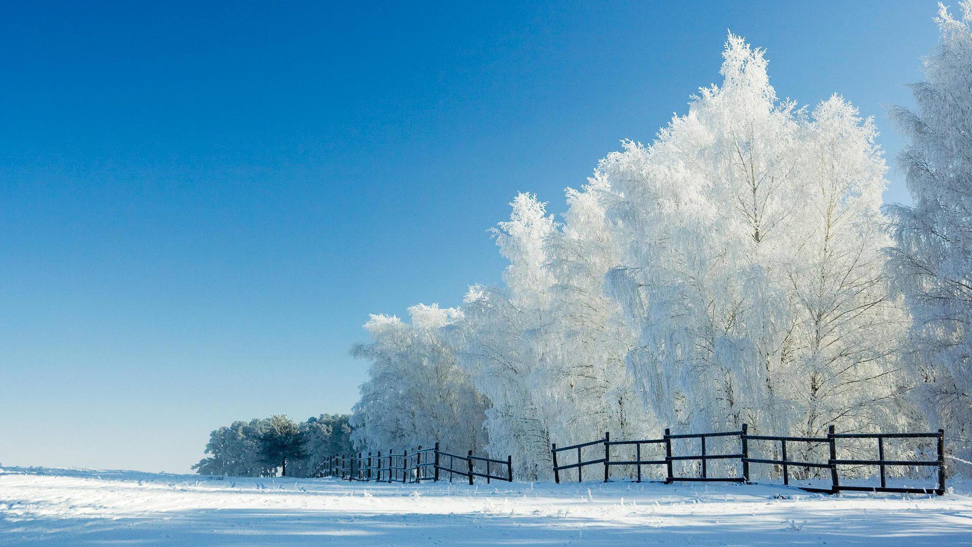 美丽雪景栅栏风光，精选免费电脑桌面壁纸下载