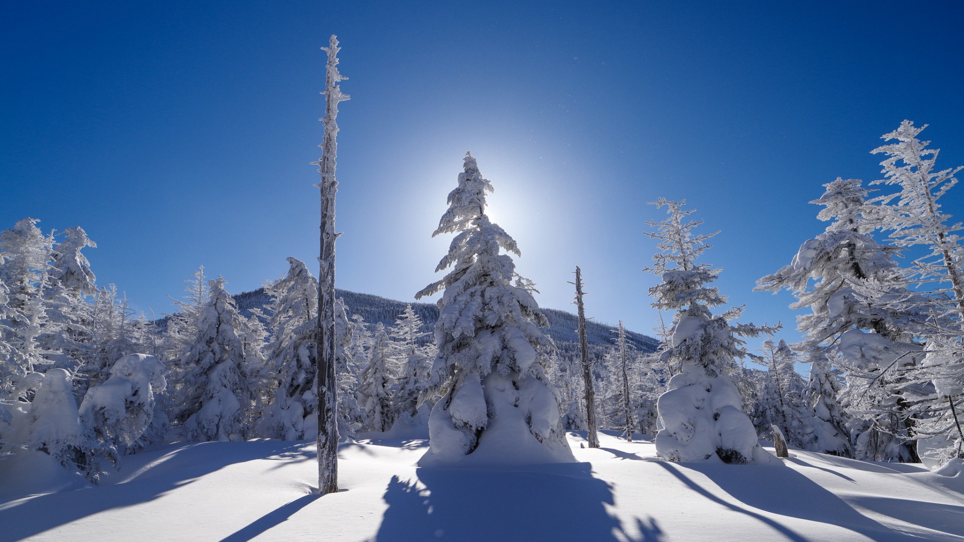 冬季山景，树木披雪，天空光线洒落，绝美自然风景壁纸免费下载