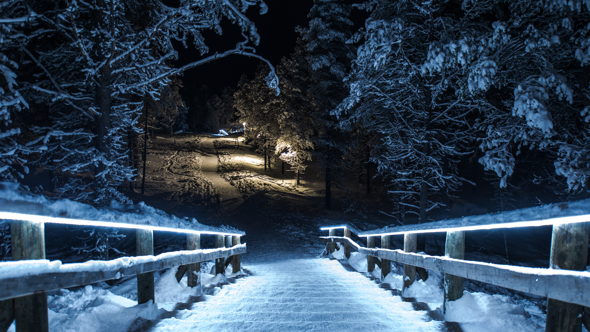 冬日雪夜，树林雪景公园风光壁纸，免费下载精美电脑桌面背景