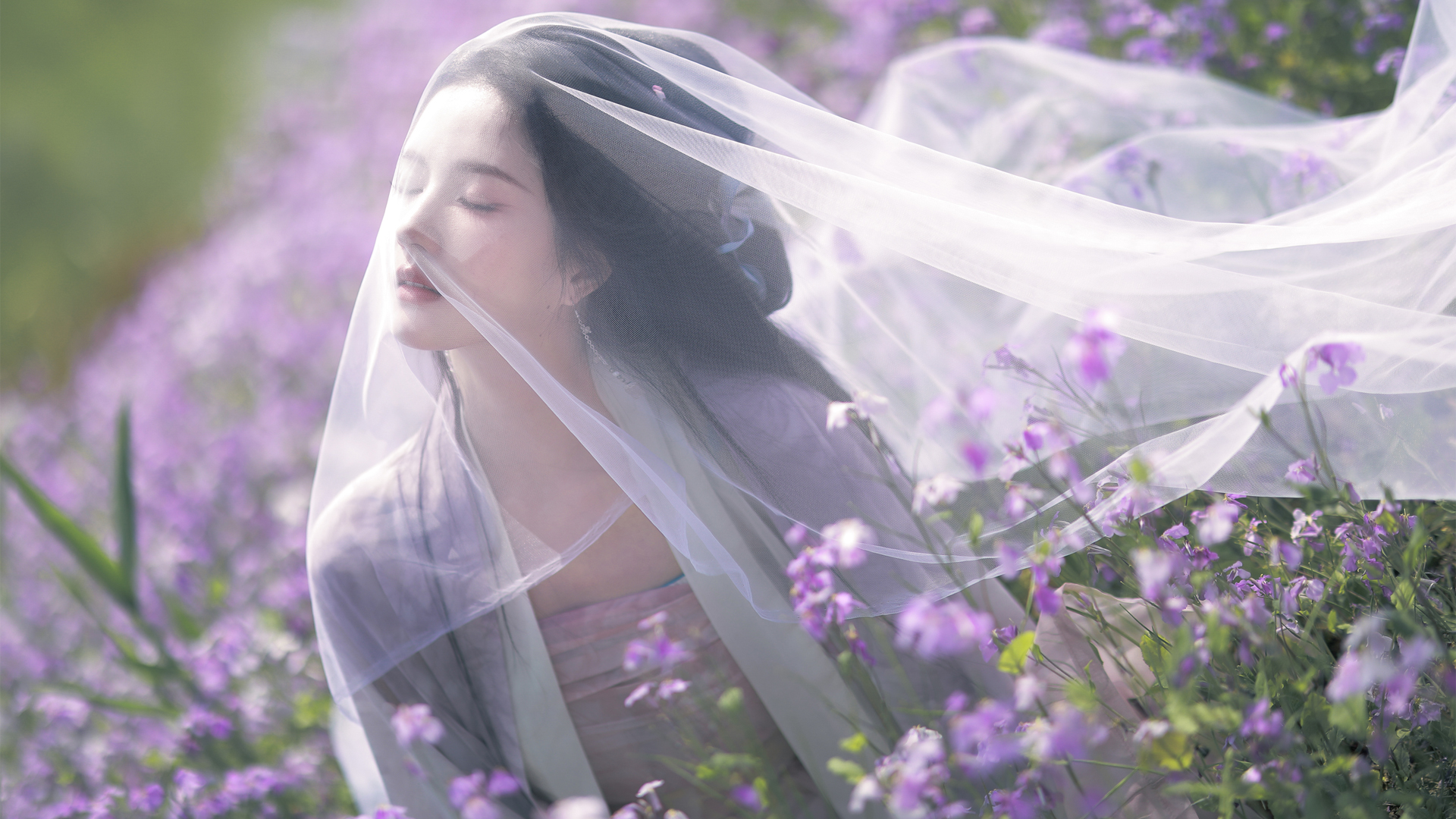 唯美紫花头纱刘些宁美女桌面壁纸，免费电脑壁纸下载
