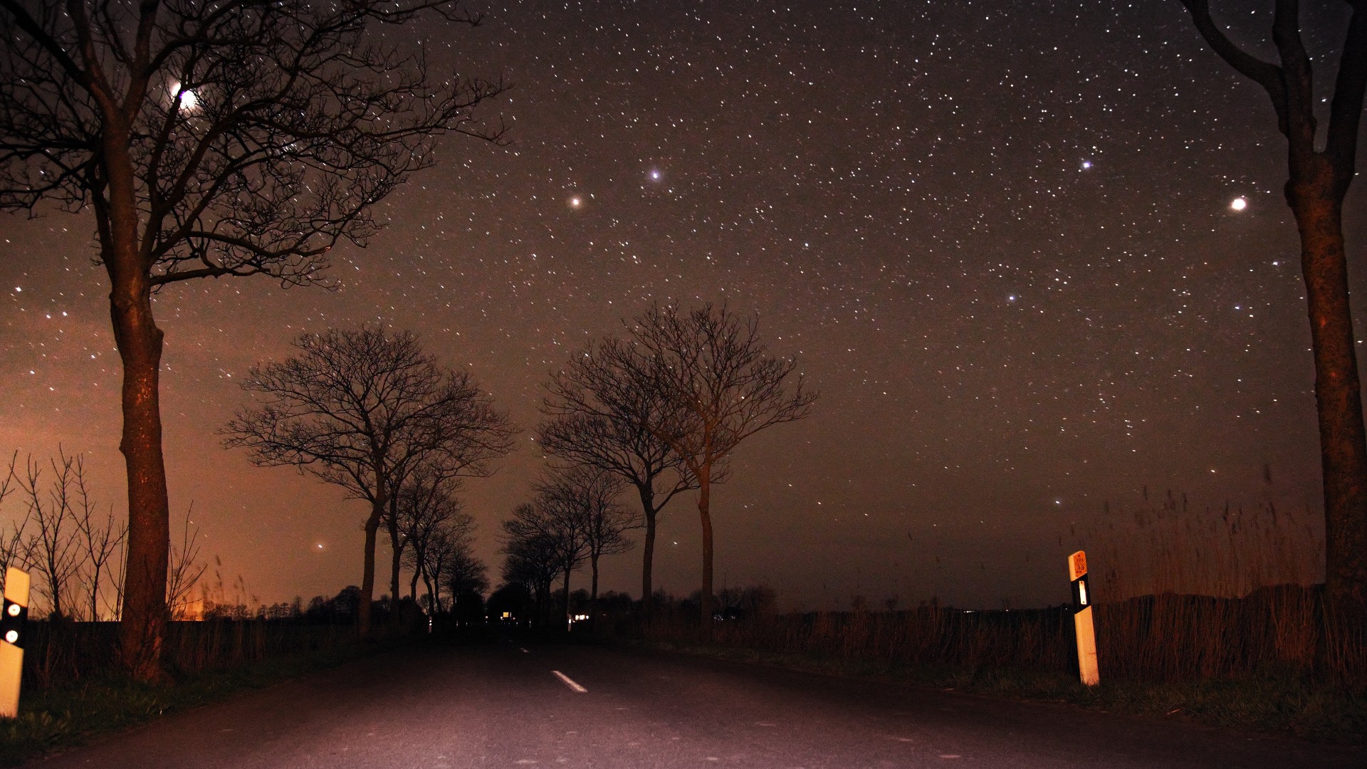 夜晚星空，月亮照耀下的树木与公路，免费风景壁纸下载