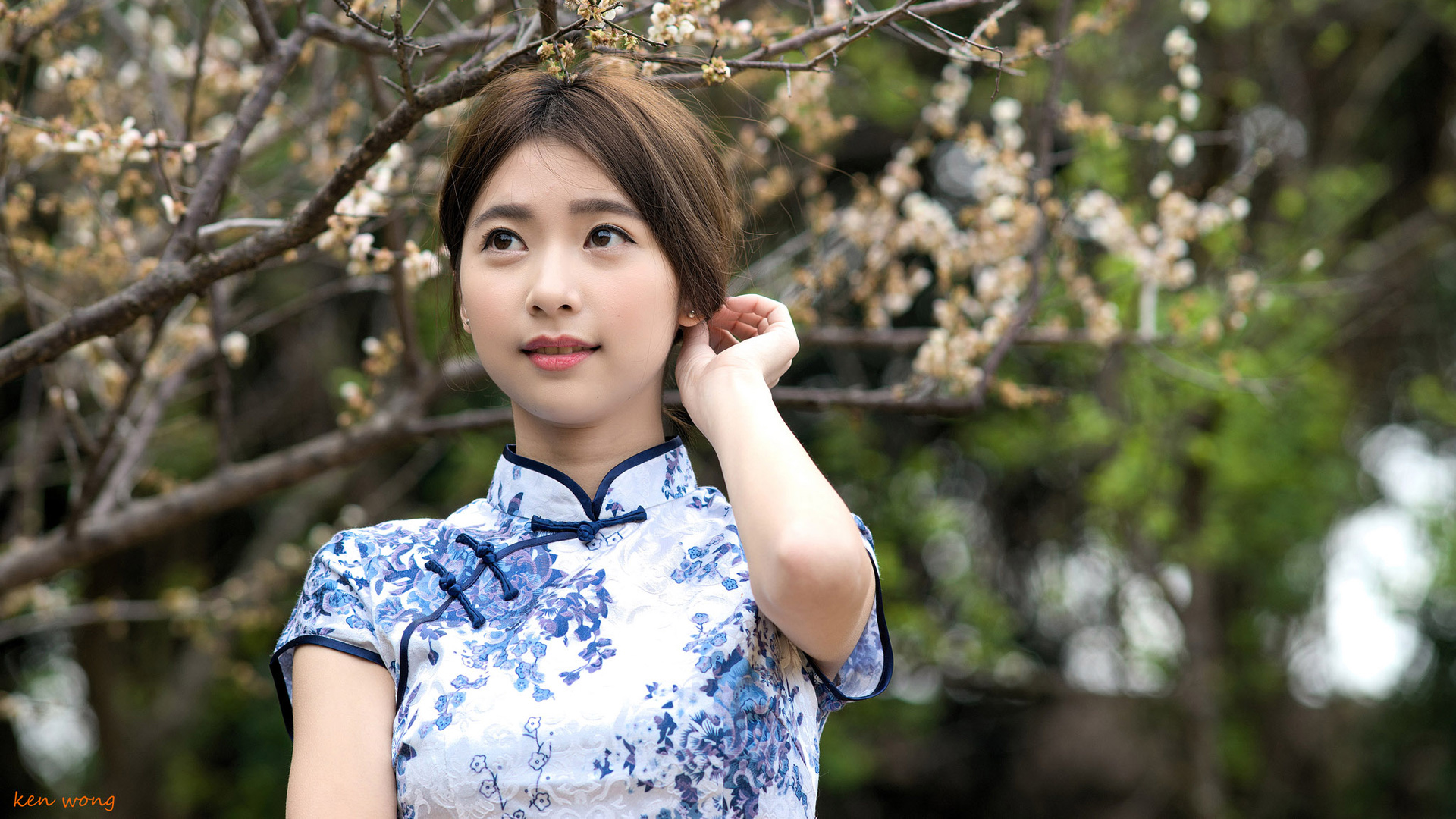 旗袍美女壁纸，刘子涵优雅风采，免费下载桌面背景