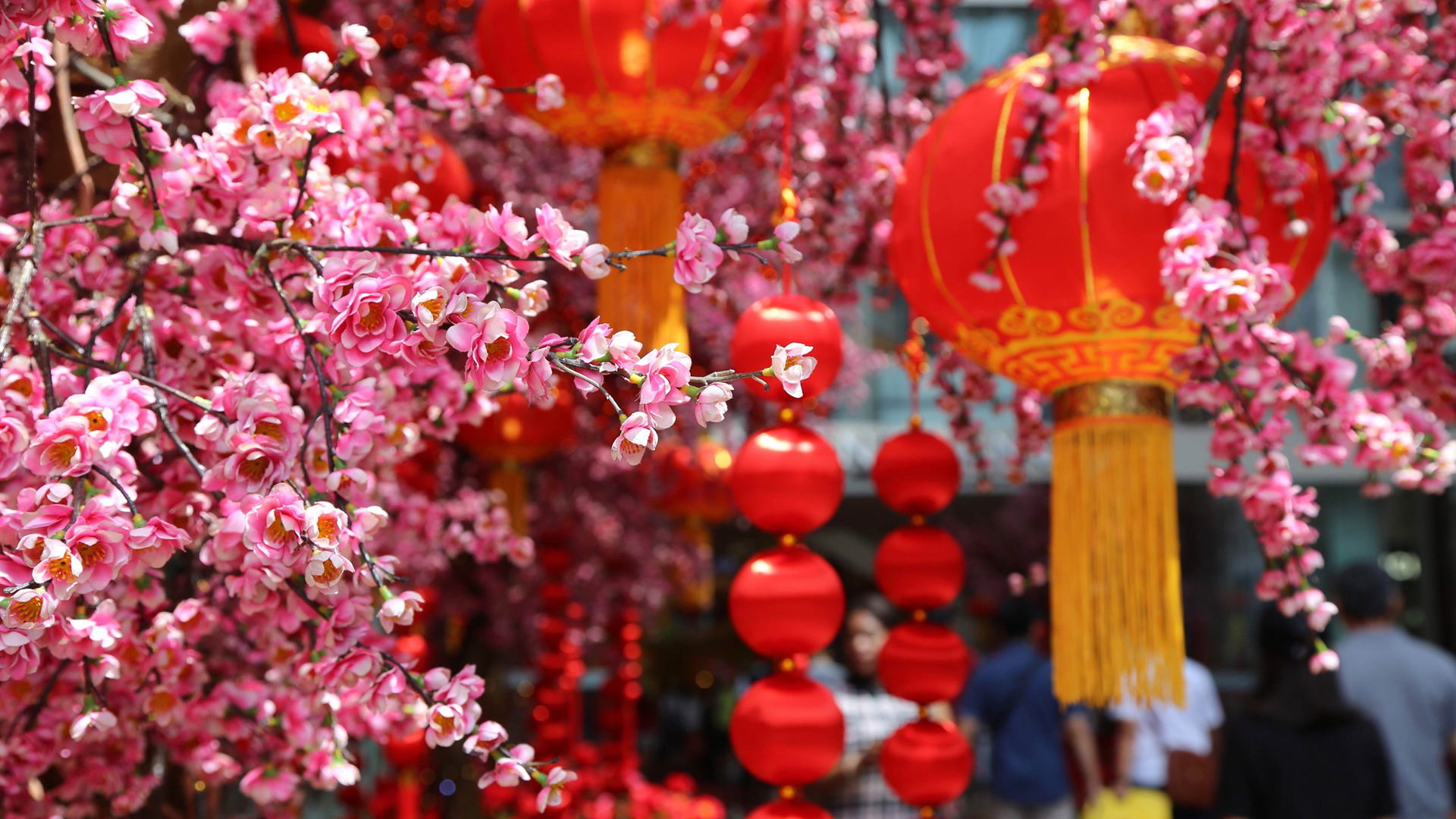 春节喜庆桃花红灯笼桌面壁纸，免费高清风景电脑壁纸下载