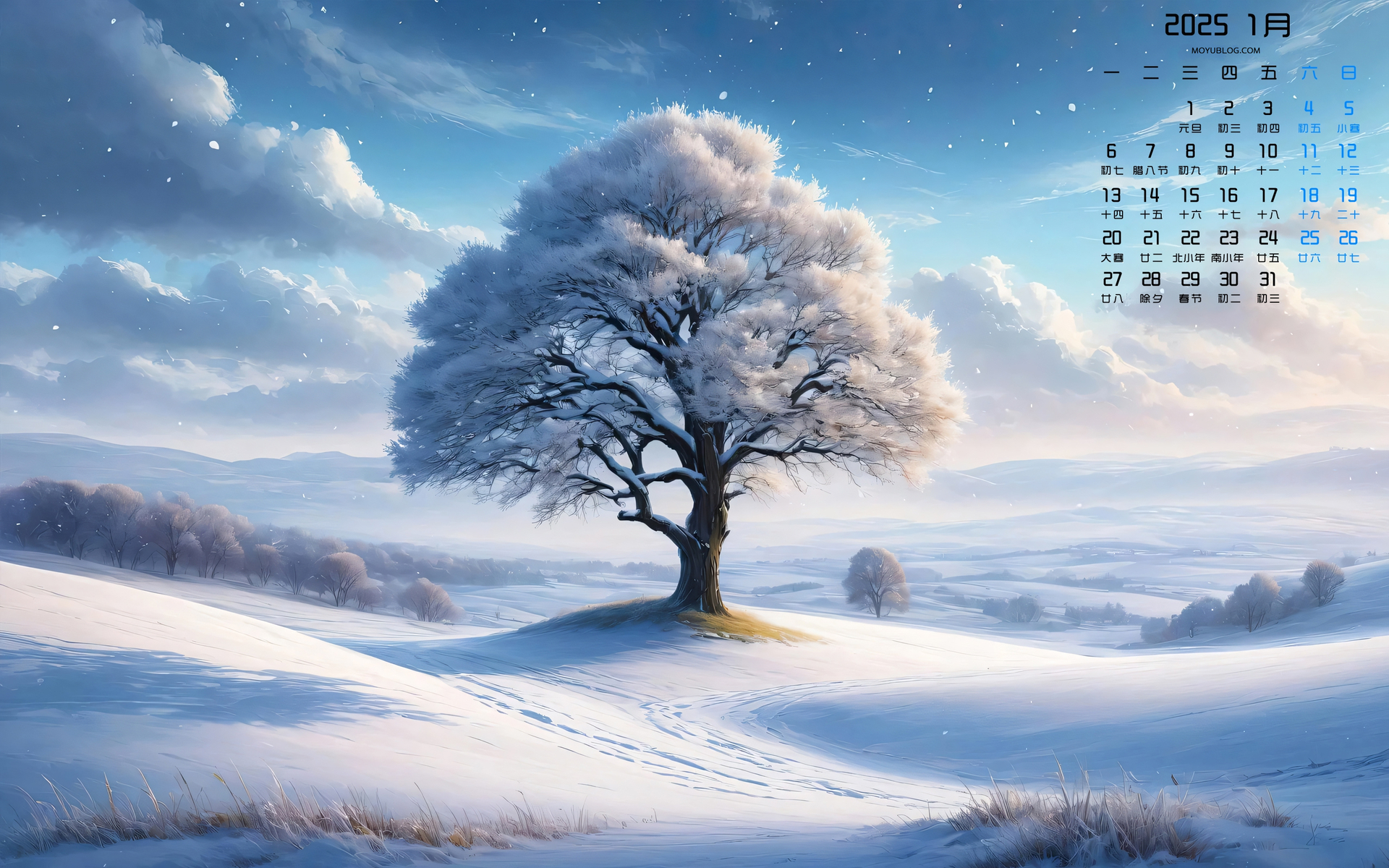2025年1月冬季树木风景日历壁纸 免费电脑下载