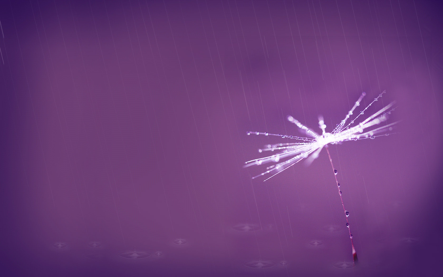 细雨轻洒桌面，免费壁纸精选，一键下载美化电脑！