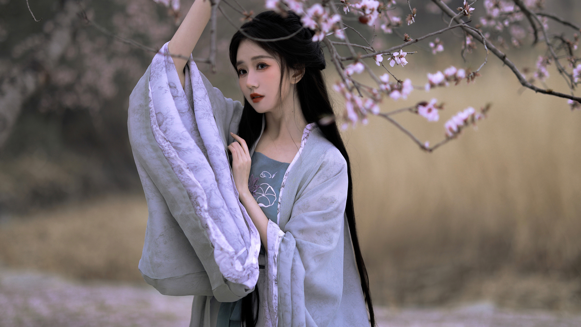 古风美女 梅花 电脑壁纸