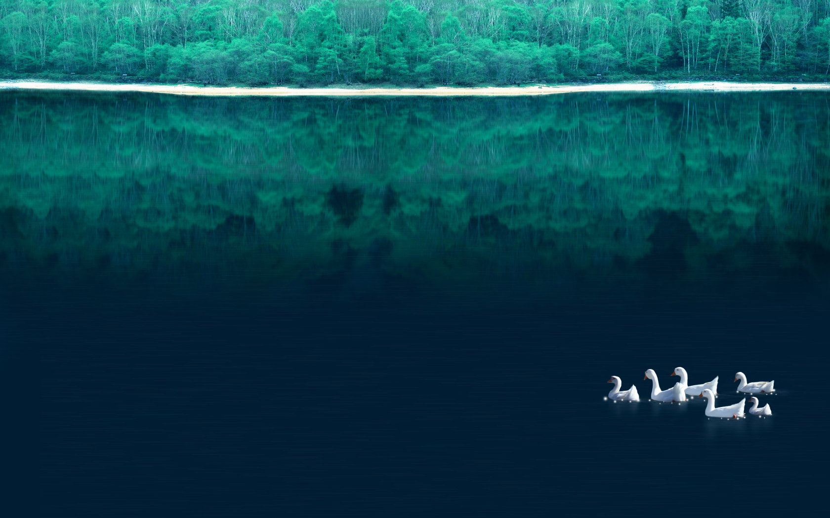森林的倒影桌面背景