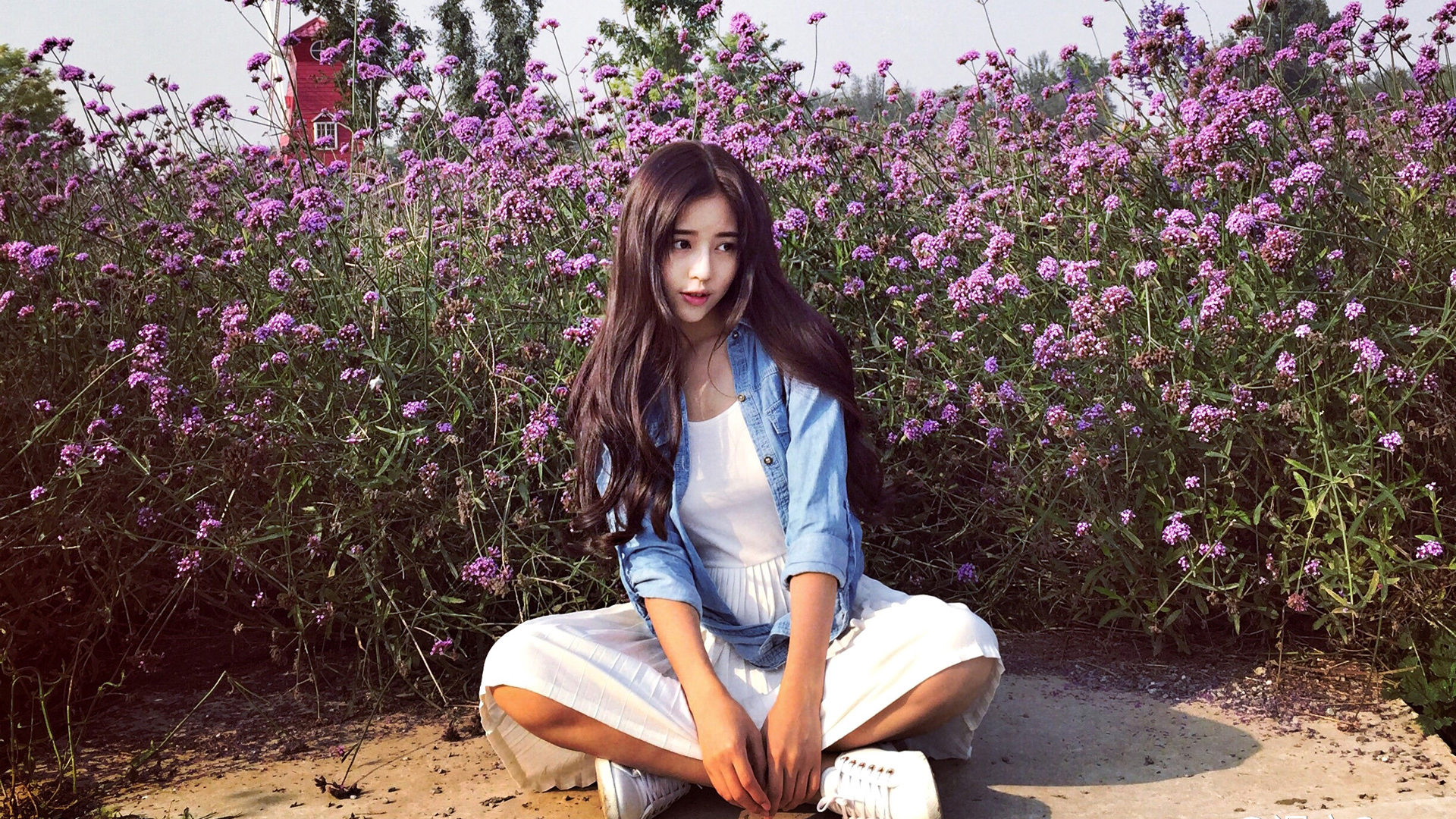 美女坐姿紫色薰衣草花海壁纸，长发可爱美女图片，免费电脑壁纸下载
