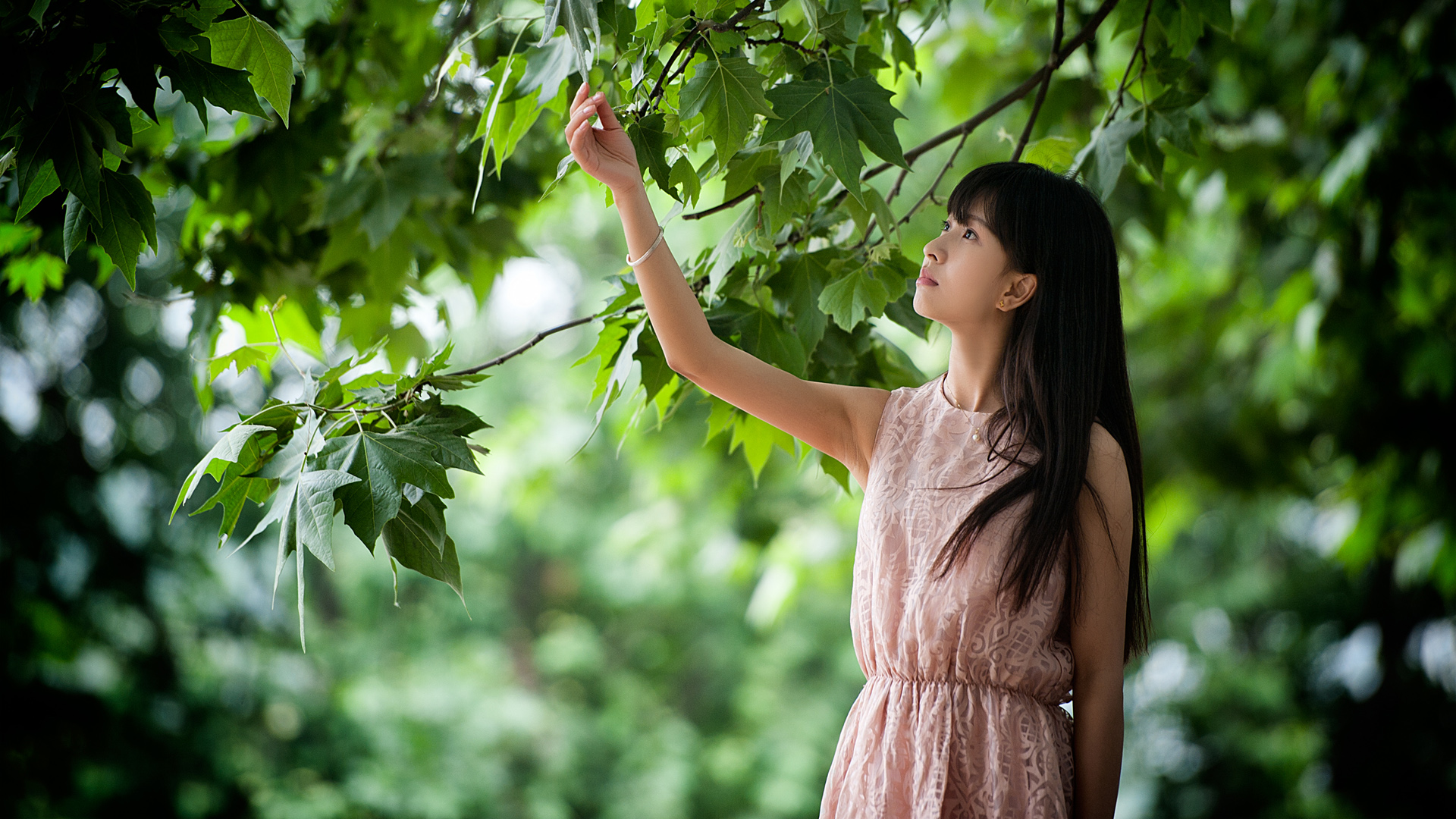 武大校花美女，清新壁纸精选，免费电脑壁纸下载