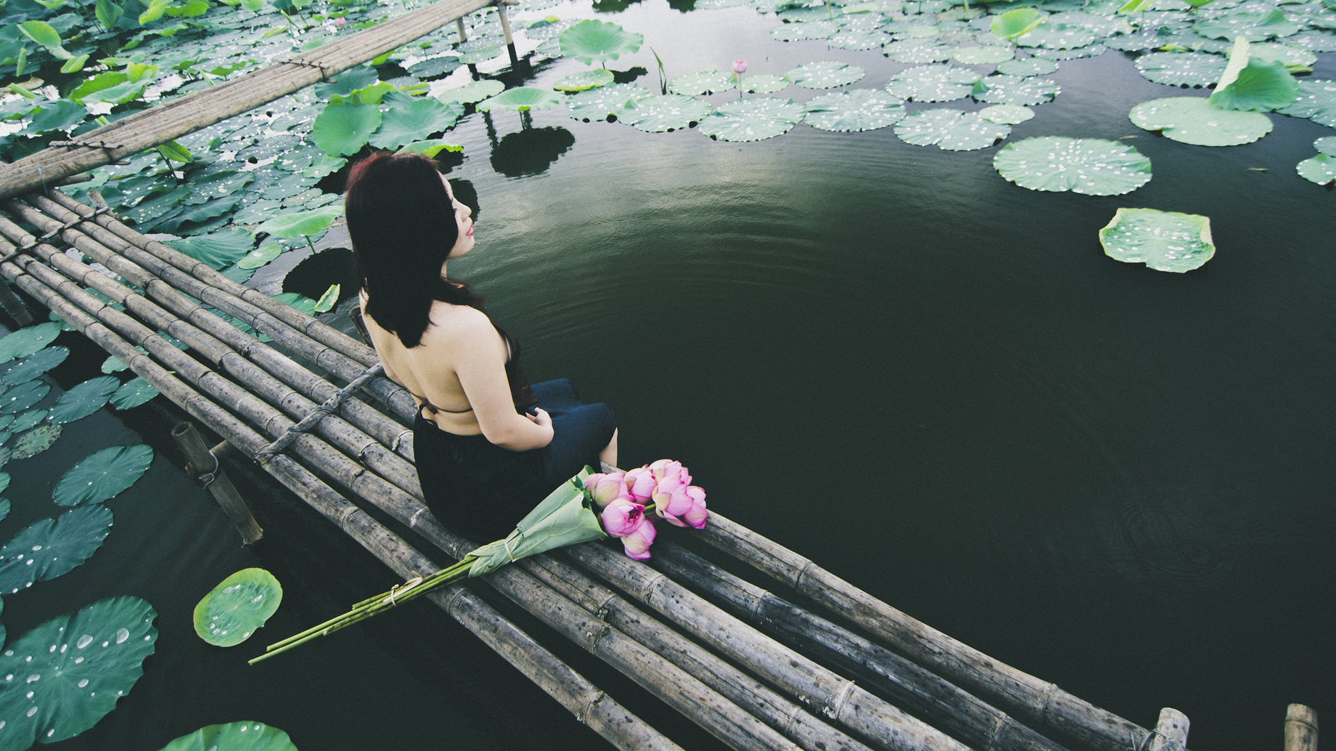 莲花池塘美女，绝美壁纸免费下载，装点你的电脑桌面