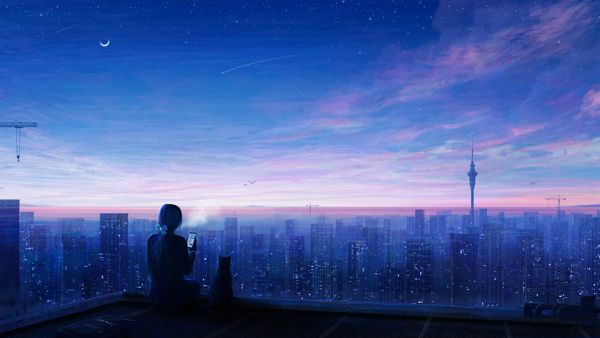 城市之夜，星空下的女孩与猫，唯美动漫风景2K壁纸免费下载