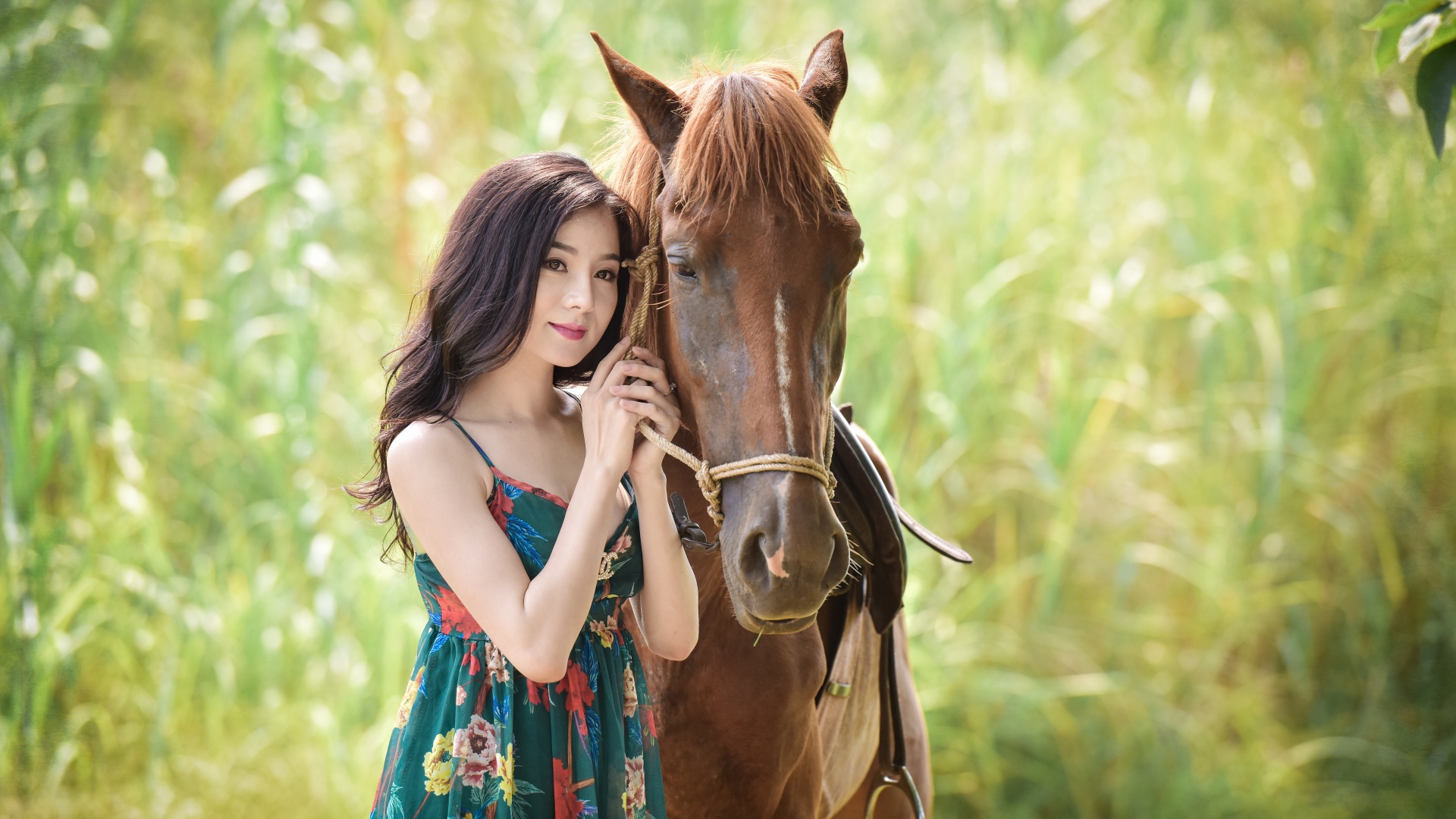 夏日风情，美丽女孩与骏马共舞，绝美摄影风景壁纸，免费下载！