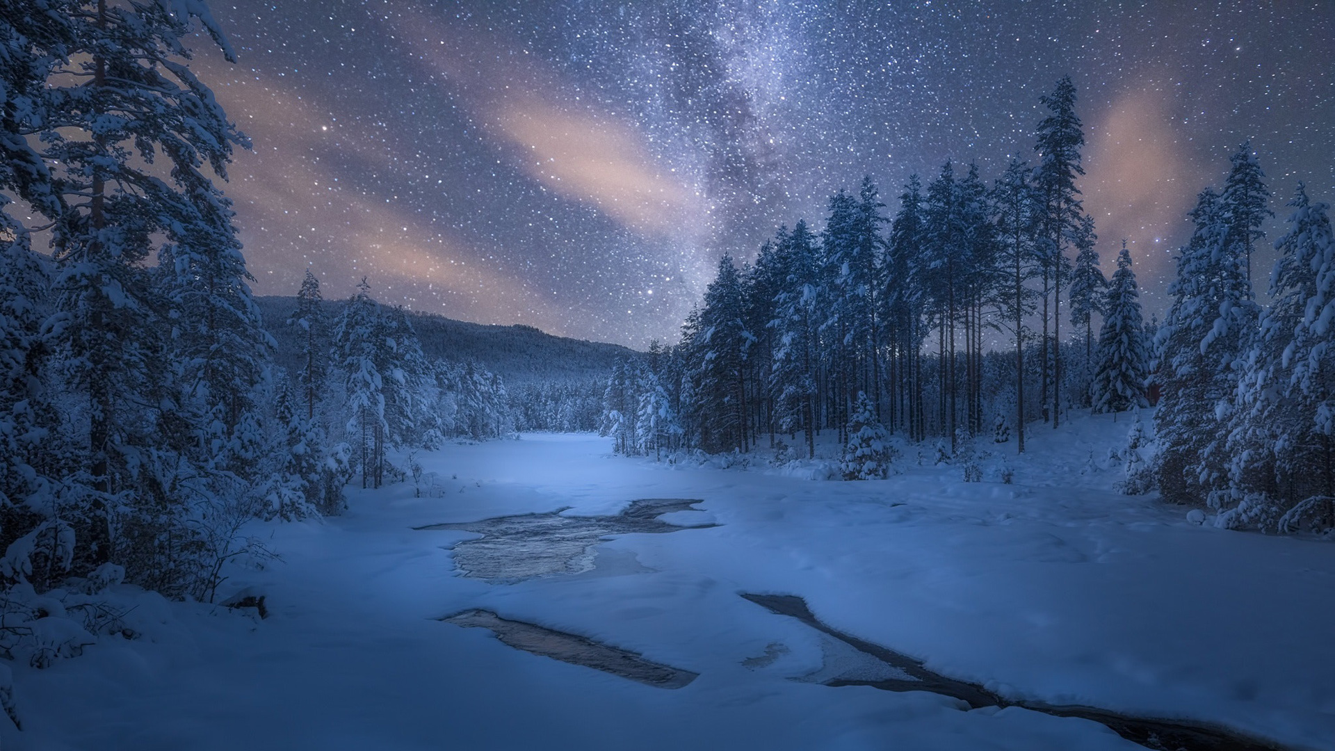 夜景雪景树木，绝美自然冬天风景壁纸，免费下载电脑桌面背景