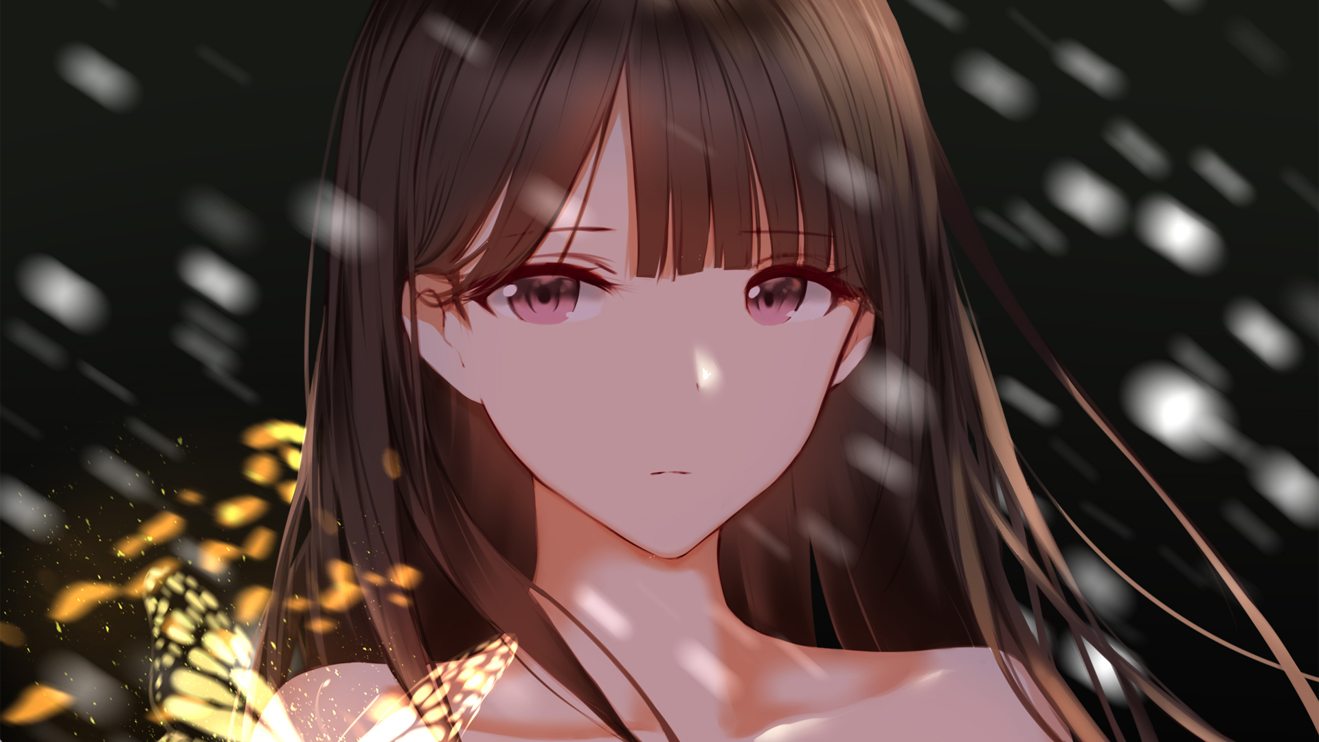 长发女孩 蝴蝶 二次元动漫壁纸