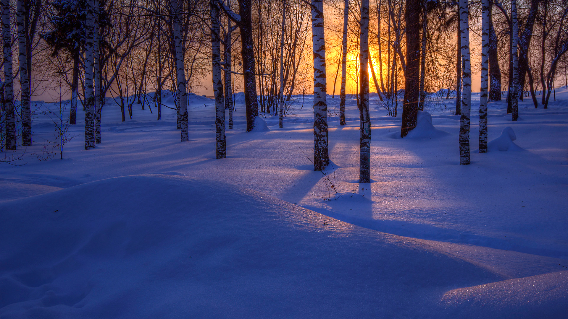冬日森林雪景，日落时分自然美景壁纸，免费下载电脑桌面背景
