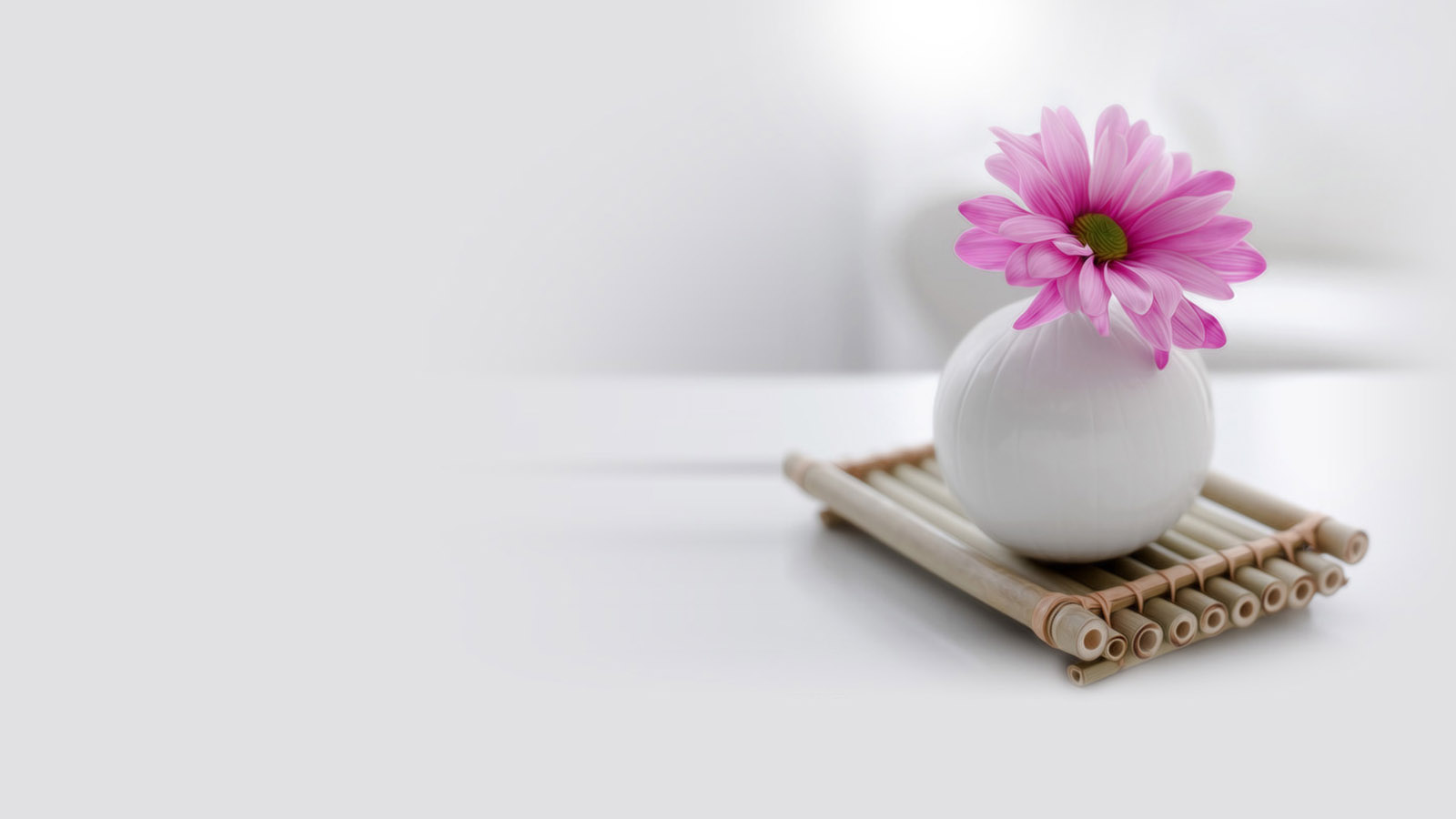 清新菊花壁纸，免费花卉电脑桌面背景，一键下载！