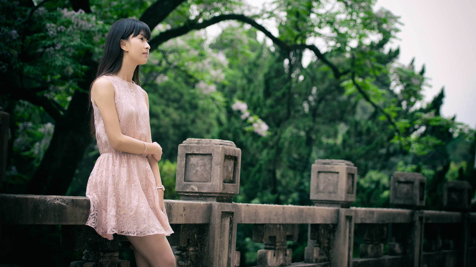 武大校园美女壁纸，小清新风格桌面美图，免费下载！
