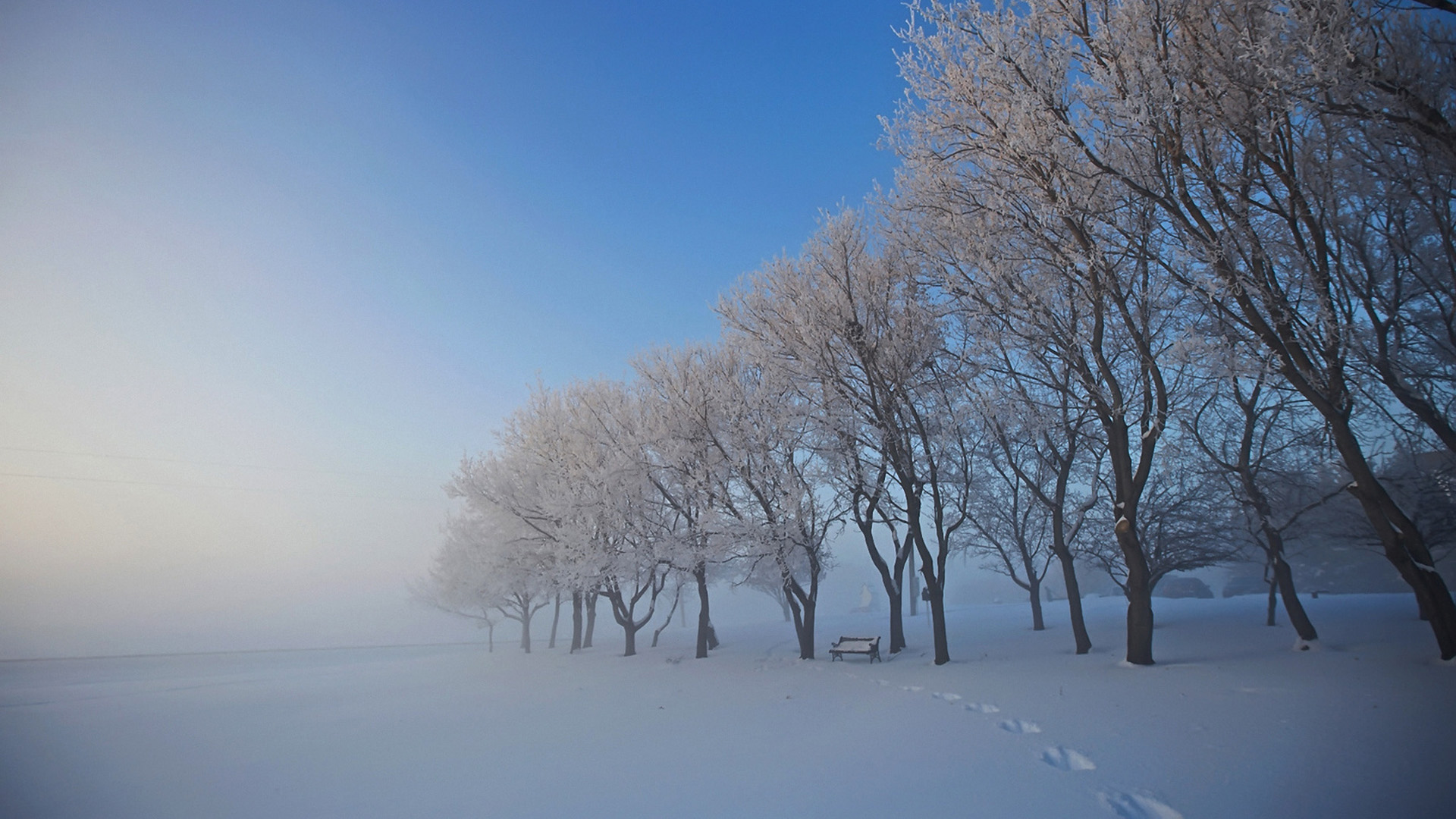 雪中树木长椅雾景，绝美桌面壁纸免费下载