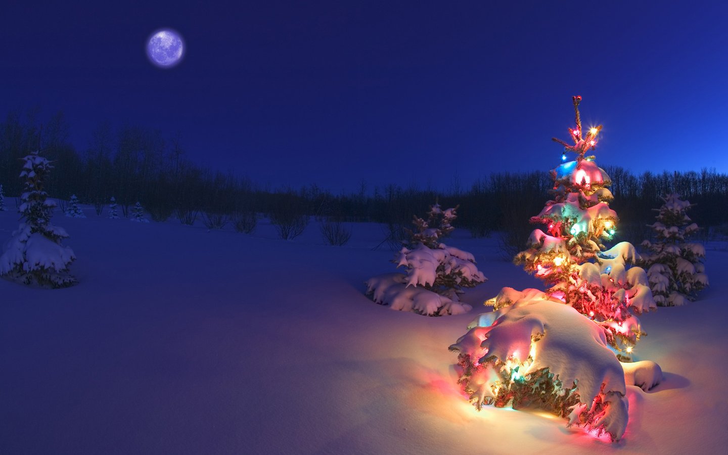 平安夜雪景圣诞树彩灯壁纸