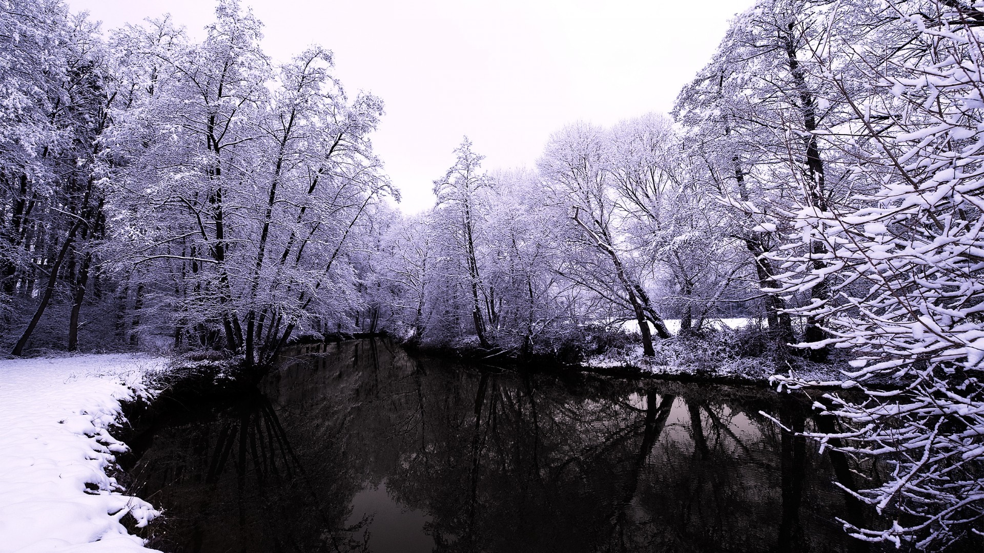 冬日森林雪景壁纸，自然之美，河流映树，绝美景色免费下载