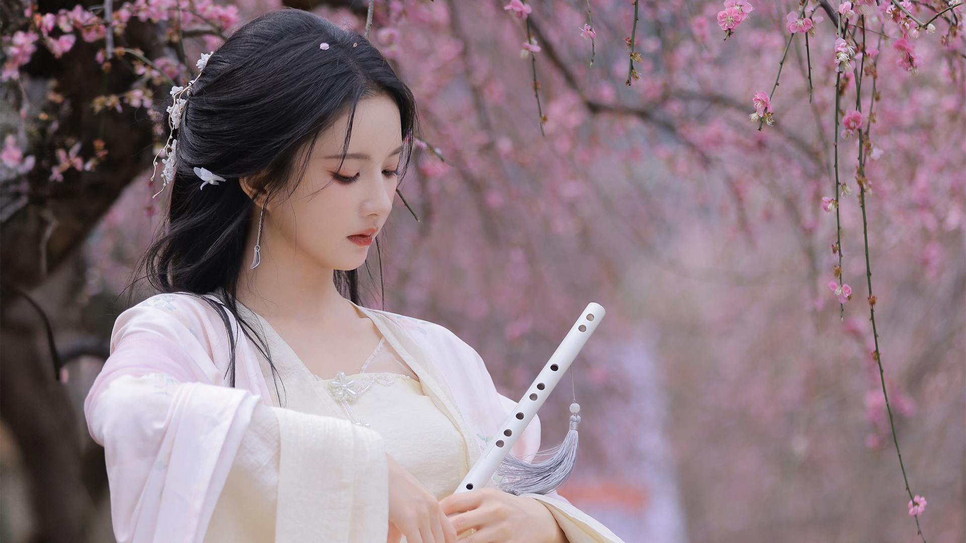 粉色樱花古风美女刘些宁高清壁纸，免费电脑壁纸下载