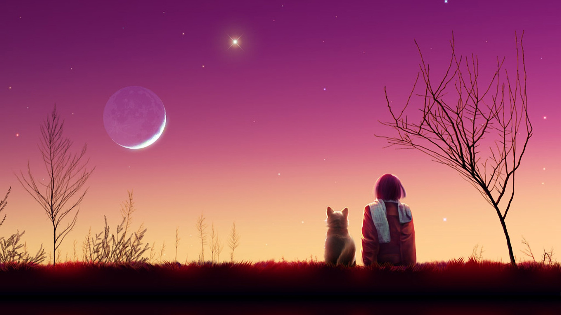 唯美夜景，女孩与小狗共赏星月，加贺屋桌面壁纸免费下载