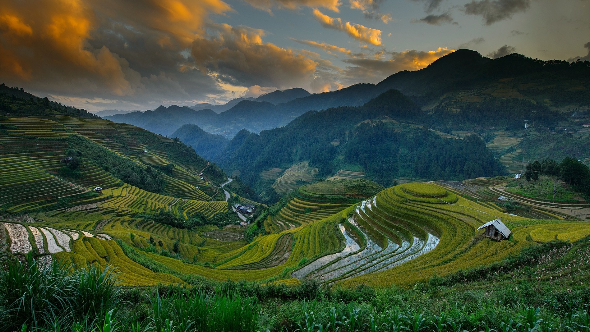 家乡美景尽览无余，山区山丘梯田水稻田种植园风光，免费电脑壁纸下载