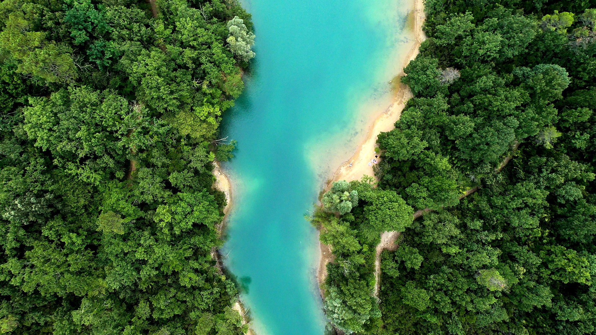 绿色森林与蜿蜒河流美景，大自然俯瞰壁纸，免费下载电脑桌面背景