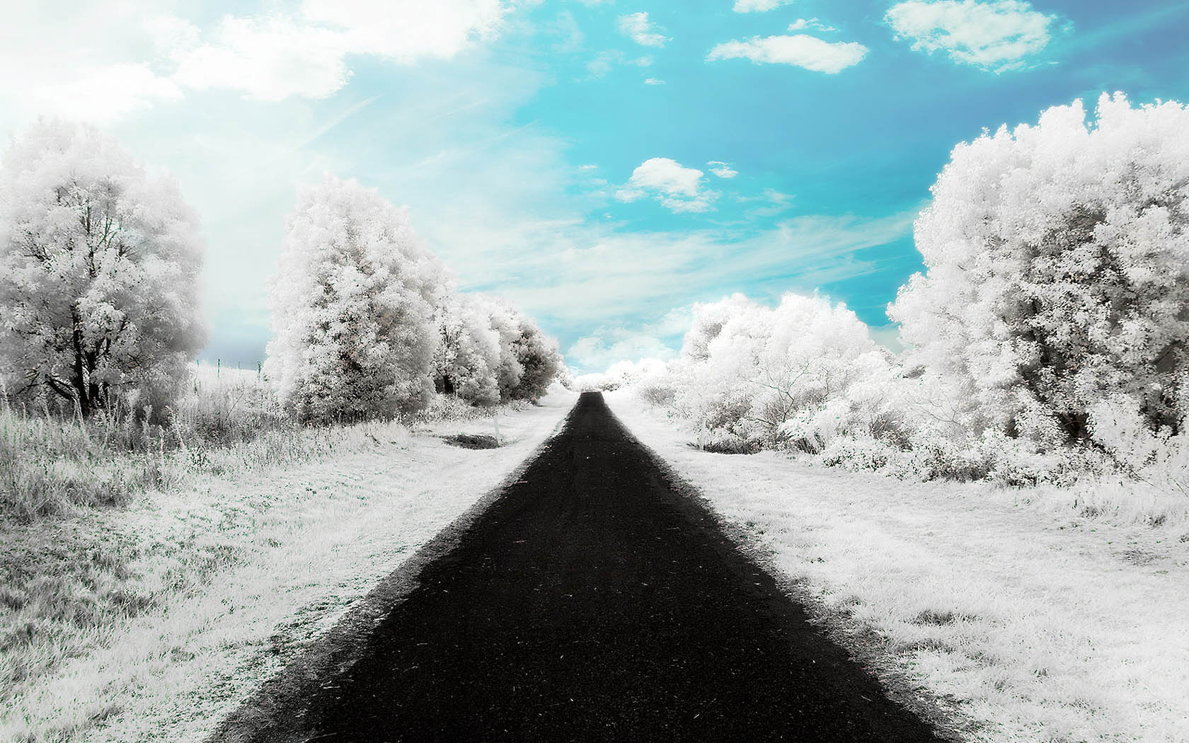 雪景道路绝美壁纸，高清免费下载，装点你的电脑桌面！