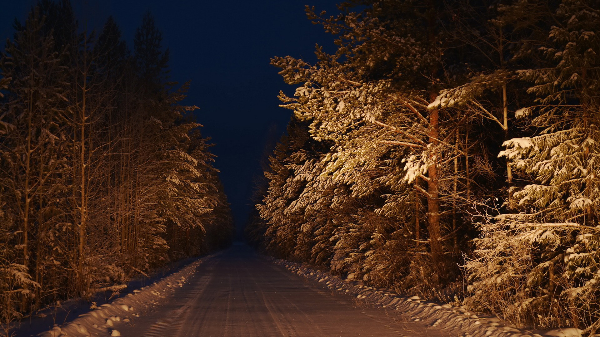 冬夜森林雪径，绝美壁纸免费下载，装点你的电脑桌面