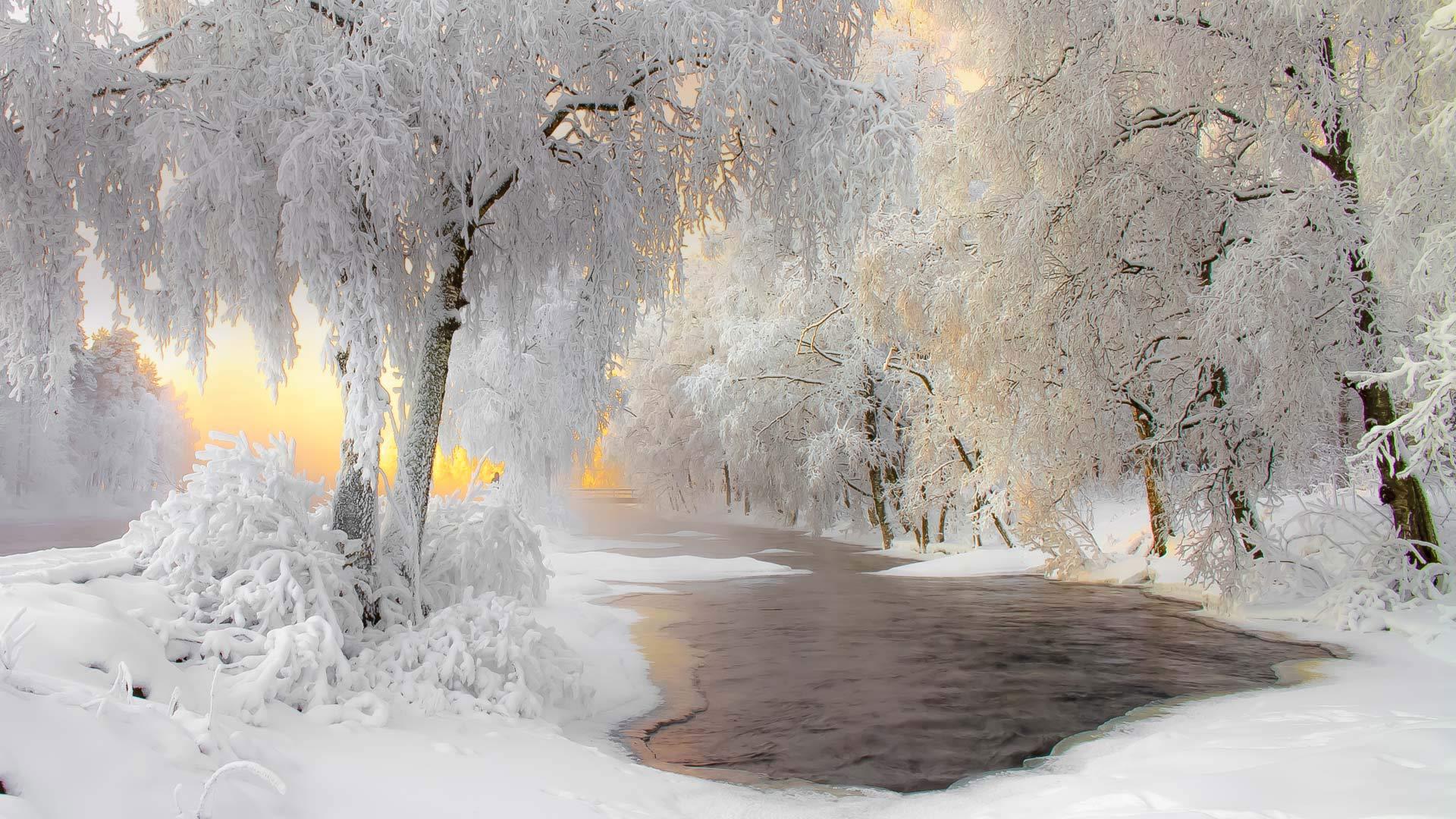 冬日雪景如画，树木、河流美景，高清壁纸免费下载