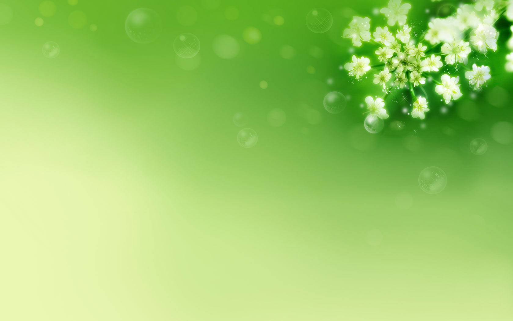 绿色养眼花卉壁纸，免费电脑桌面背景高清下载